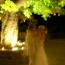 A romantic dance underneath the chestnut tree