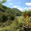 The view across our field from the edge of the barbecue terrace