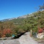 Autumn is a great time to visit Provence - the weather remains wonderful, the crowds have parted and the colours have you reaching for your camera at every turn. This is at the top of our drive. 