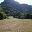 A freshly mowed meadow in July, looking back to the Foulon.