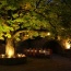The courtyard by candle light