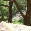 This is the view from the Fablo Luxury room, looking down across the conservatory roof to the river Loup. The Oak trees are around 300 years old.