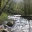 14 Apr 09. Only 20kms from its source the river Loup soon grows quite wide.