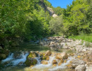 le foulon loup rivver le foulon loup rivver