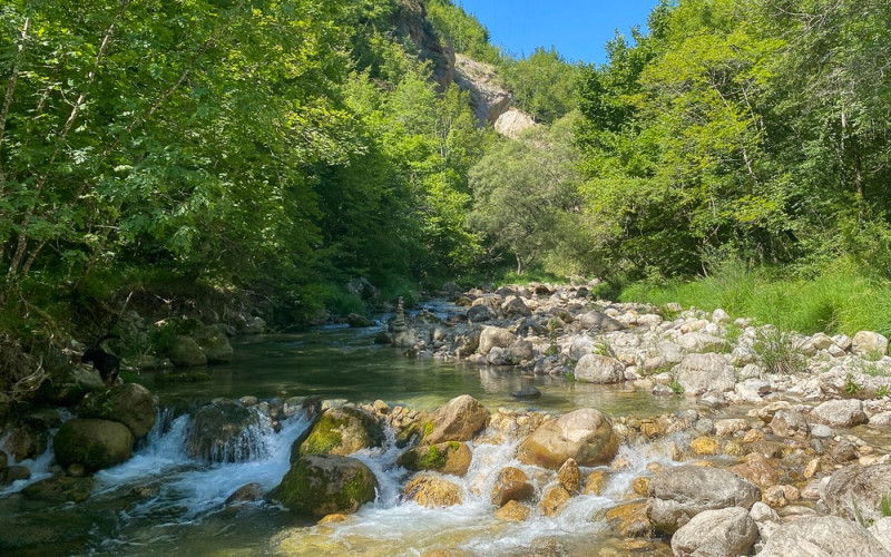 le foulon loup rivver le foulon loup rivver